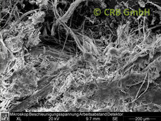 Imagen MEB amianto crisotilo en talco | © CRB Analysis Service GmbH